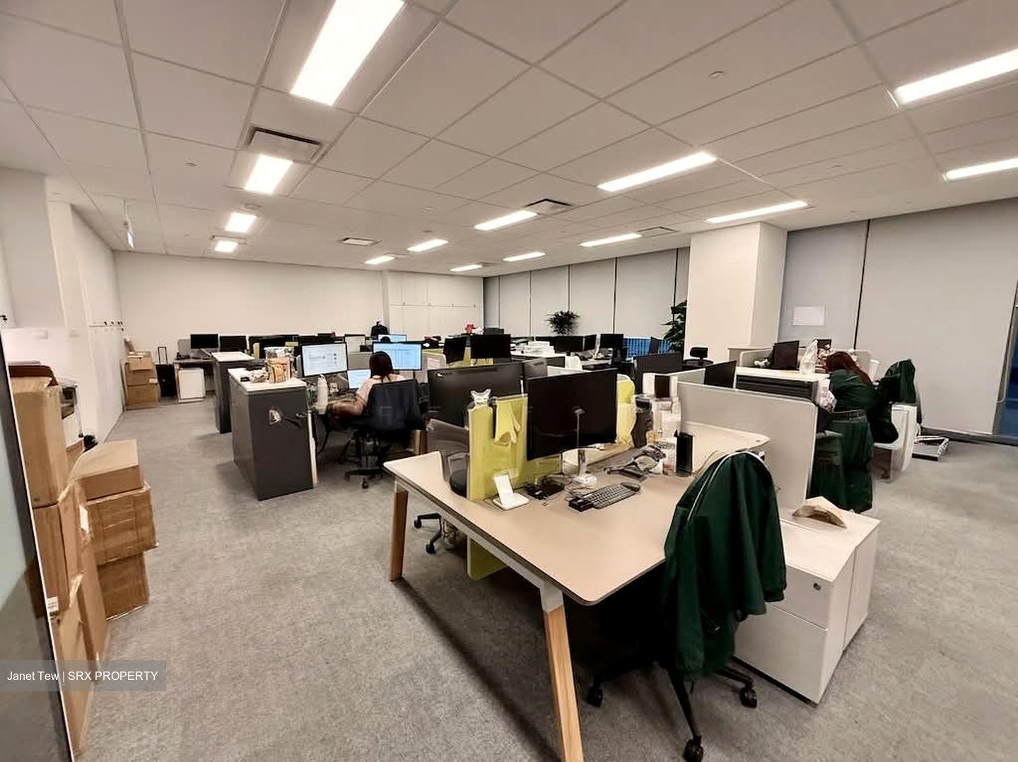 Capitasky (D1), Office #558438831